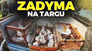 🚨 ZADYMA NA TARGU ZWIERZĄT 🚨 groził mi policją 👮 MOJE MINI ZOO  odc 226 [upl. by Notnerb]