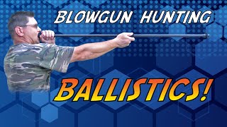 Blowgun Hunting Ballistics [upl. by Agustin]