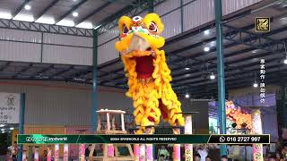 Acrobatic Lion Dance 檳城美湖體育及文化協會A隊 [upl. by Animrelliug]