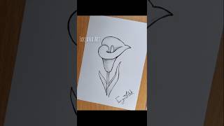 Calla Lily Drawing Sketch shorts shortsart flowersart callalily flowers art highlights [upl. by Alford]