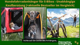 Hunde Fahrradanhänger für EBikes Test 2024 die top 5 im Vergleich Kaufberatung und Empfehlung [upl. by Aihsemat632]