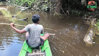 IKAN DANAU PENGUSA DANAU TERLENA SETELAH DI NYANYIKAN BANG ANTON [upl. by Katharyn]