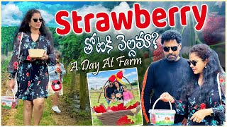 సరదగా strawberry🍓 తోటలో  ఇంత juicy amp tasty berries ఎప్పుడు తినలేదు  straberry picking🍓🚜 [upl. by Remle]