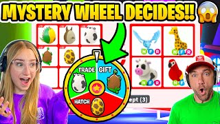 MYSTERY WHEEL Decides Super Rare Egg Trades Adopt Me Roblox [upl. by Feodore]