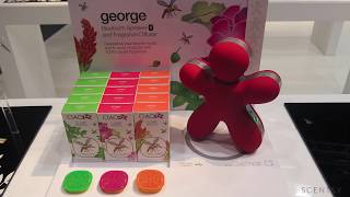 Scentsy Spring Summer New Catalogue Trends Explained [upl. by Daus]