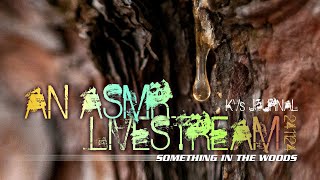 LIVE ASMR Livestream Something In The Woods [upl. by Ppik]