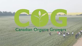 Canadian Organic Growers  Regenerative Organic Oats [upl. by Goodrich]