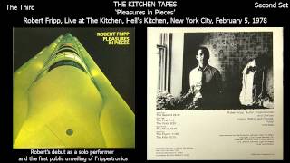 Robert Fripp  The Third from Pleasures in Pieces  Live at The Kitchen NYC 1978 [upl. by Aratak]