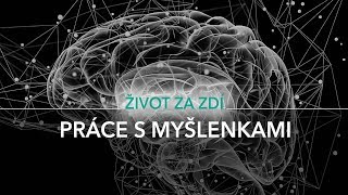 25 DÍL PRÁCE S MYŠLENKAMI KOGNITIVNĚ BEHAVIORÁLNÍ TERAPIE A MINDFULNESS [upl. by Laicram893]