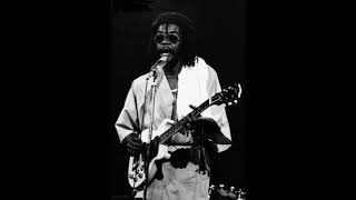 peter tosh live Anti Apartheid Festival Amsterdam 1981 upgrade 2024 [upl. by Edaj]