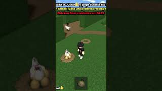 roblox gallinas xd jjajaa la gallina [upl. by Aihcila168]