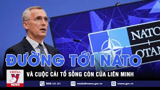 Đường tới NATO của các ứng cử viên Châu Âu và cuộc cải tổ sống còn của liên minh  Thế giới 360 [upl. by Rance]