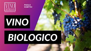 Vino Biologico  Luca Purelli [upl. by Johann]