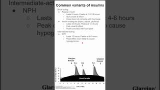 Common variants of insulins [upl. by Follansbee]