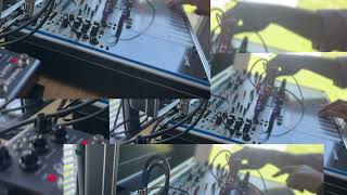 Frippertronics Buchla Easel [upl. by Akselaw]