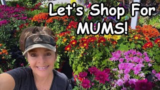 What You Need to Know Before Buying Mums 😀🧡👍 [upl. by Kendra]