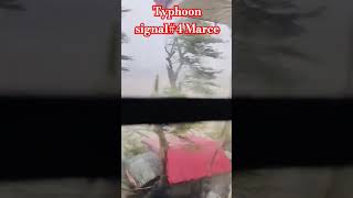 Typhoon marce hits cagayan valley 🥺😇🙏 [upl. by Eikcid]