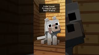 Stupid Minecraft Dog Moments  Shorts [upl. by Dachi499]