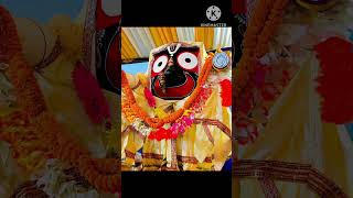 Ahe Nila Saila 🙏  Shree Jagannath short video  song [upl. by Frodine24]