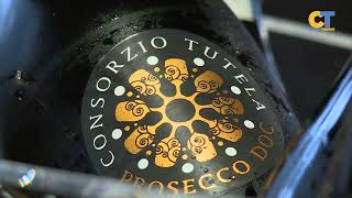 Prosecco DOC una bollicina che fa il giro del mondo [upl. by Fairbanks400]