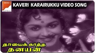 Kaveri Karairukku Video Songs  Thayai Katha Thanayan Movie  MGR B Sarojadevi  South Video [upl. by Fai]