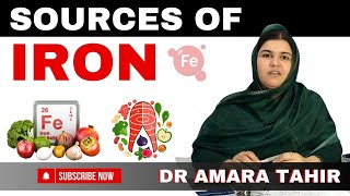 Iron Rich Foods  लौह युक्त खाद्य पदार्थ  Dr Amara Tahir Nutritionist [upl. by Yulma]