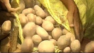 Potatoes vanish from West Bengal markets as Mamata government slashes price [upl. by Nedry52]