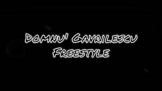 Domnu Gavrilescu  Freestyle [upl. by Etneciv]