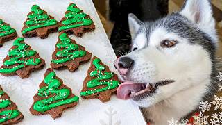 How to Make Christmas Tree Brownies for Dogs 🎄 DIY Dog Treats [upl. by Luehrmann]