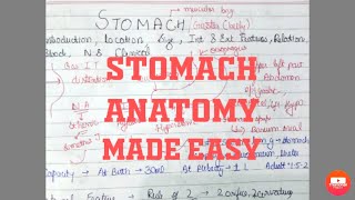 Stomach anatomy  features BDCSIMPLIFIED [upl. by Dougall794]