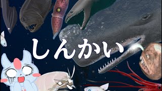 深海に眠る、謎の骨を探しに行くよー！ [upl. by Viddah]