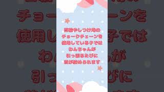 【犬の豆知識】首輪やチョークチェーンて…【あどらぶるどっぐ】shorts犬犬のいる暮らし犬の豆知識あどらぶるどっぐ [upl. by Aimee123]