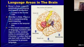 Developmental Psychology Language Development [upl. by Malloch252]