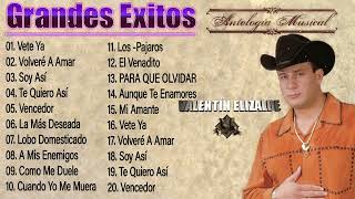 Valentin Elizalde Sus Grandes Exitos  Top 20 Mejores Canciones  Valentin Elizalde Album Completo [upl. by Youngman]