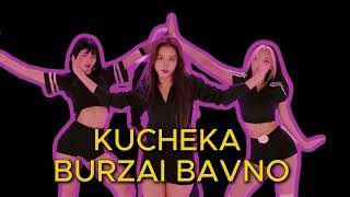 NOVO KUCHEK 2024 KUCHEKA BURZAI BAVNO HIT [upl. by Fassold]