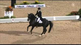 Totilas amp Edward Gal WEG Grand Prix Freestyle [upl. by Aimil692]