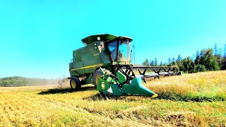 John Deere 9510 combine Harvesting Wheat [upl. by Kus]