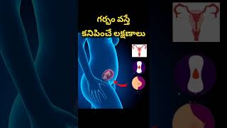 గర్భం వస్తె కనిపించే లక్షణాలు  Early pregnancy symptoms [upl. by Anelim78]