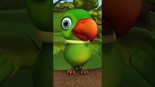 Main Tota Hare Rang Ka Singing Parrot मैं तोता मैं तोता Nursery Rhymes preschool shortsforkids [upl. by Cannice162]