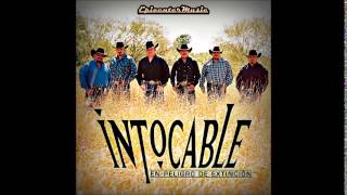 Grupo Intocable  El Perdedor EPICENTER BASS BOOST 2014 [upl. by Petite]