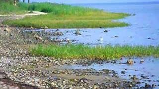 Hohen Wieschendorf und sein NaturStrand an der Ostsee [upl. by Eioj]