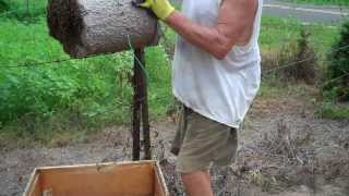 Tips on catching bee swarms How to keep and get bees Bee Swarm Let Down [upl. by Zurn359]