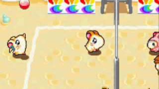 Lets Play Hamtaro Ham Ham Games Part 05  Day 31 [upl. by Mckee]