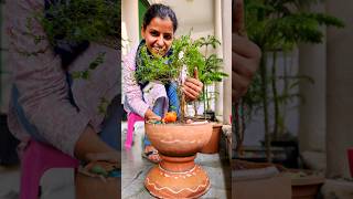 क्या आपके पास मटका है तो मटके से बनाएं शानदार गमला entrancedecor newgardeningtip naturelovers [upl. by Anissej978]