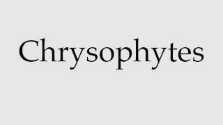 How to Pronounce Chrysophytes [upl. by Dnesnwot]