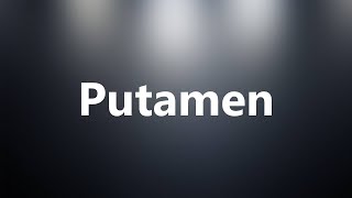 Putamen  Medical Definition and Pronunciation [upl. by Ivonne]