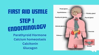 ENDOCRINOLOGY part 4 from First Aid USMLE Step 1 [upl. by Sirrad]