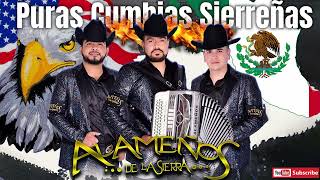 Los Alameños De La Sierra MEGA MIX Lo Más Chingon  Cumbias y Huapangos Para Bailar [upl. by Sterling]