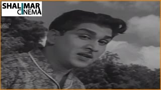 Zamindar Movie 1965  Aa Navvula Kosame Video Song  Nageswara Rao Krishna Kumari [upl. by Mlohsihc868]