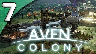 Aven Colony Campaign Gameplay Walkthrough  Part 6  Arido Mesa [upl. by Gnivri]